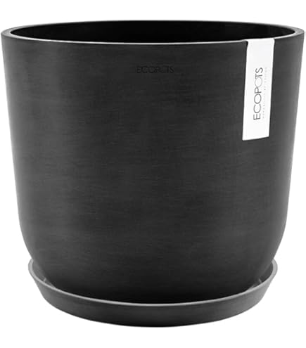 【現品】ボンバックス　8号　黒鉢　（1） 現品】ボンバックス 8号 黒鉢（1） : 花のアリマツ Yahoo!店 - 通販