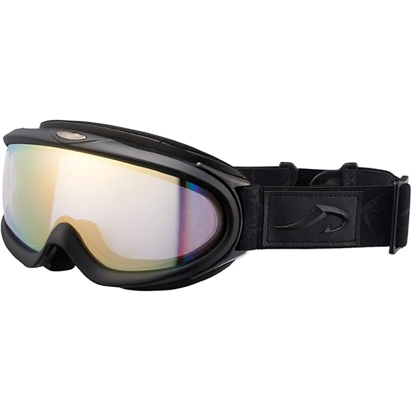 アーモンドさん専用2個 スパイ MAINSTAY 大人用 スノーゴーグル