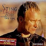 Desert Rose / Brand New Day