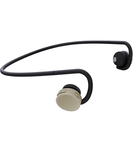 Amazon.co.jp: nwm MBE001 / NTT Sonority PSZ Technology