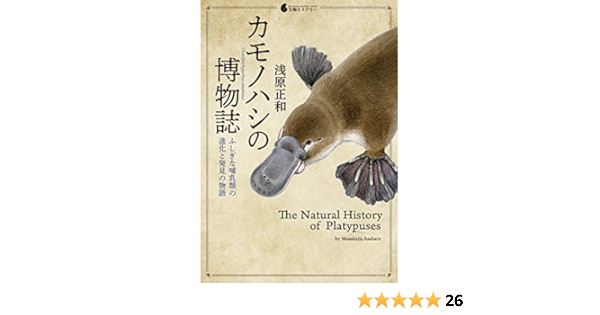 カモノハシの博物誌 ふしぎな哺乳類の進化と発見の物語 生物ミステリー 浅原 正和 本 通販 Amazon