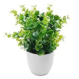 TOSSOW小型 プラスチック人工植物 おしゃれ　かわいい　人工植物 インテリア 人工植物 オフィスや家の装飾 家族や友達のプレゼントクリスマス新年の贈り物