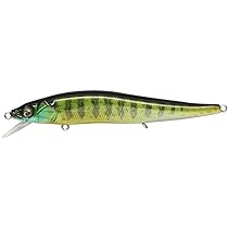Amazon | メガバス(Megabass) ITO Vision 110 FX サスペニング