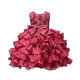 (プタス)Putars ベビー服 子供服 女の子 ワンピース チュールドレス フォーマル バラ柄 五色 可愛い 秋冬 結婚式 記念日 プレゼント 6ヶ月-10歳