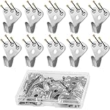 壁掛けフック 石膏ボード ピン 10点セット 耐荷重約34kg 強力 釘付き 額縁 壁付け 額縁展示用吊り金具 絵画用 (シルバー)