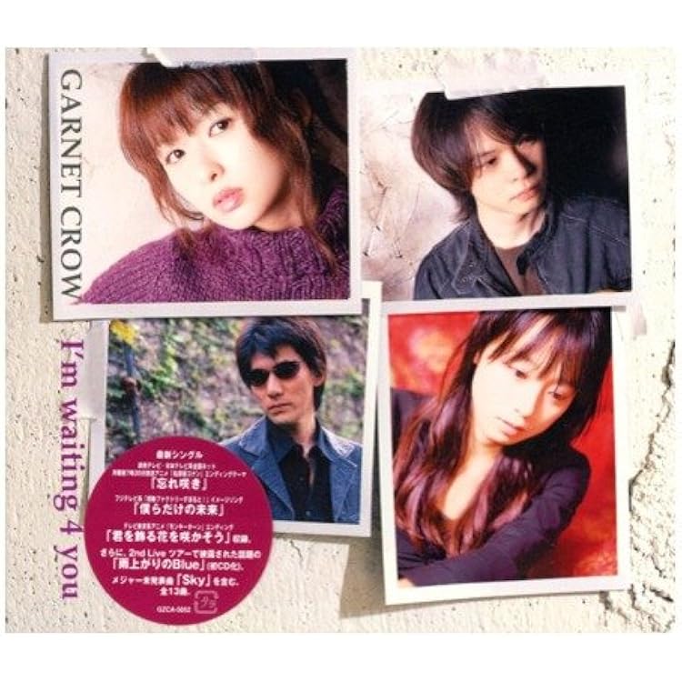 GARNET CROW DVD、CDアルバム、CDシングル 全14点セット garnet crow ガーネットクロウ CDセット - メルカリ
