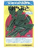 大和農園 はやぶさ [ほうれん草・法蓮草] 2L