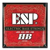 ESP BASS STRINGS BS-20HB ベース弦 45-105