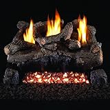 ピーターソンリアルファイアー18-inchイブニングFyreログセットwith vent-freeプロパンANSI認定g18 Burner – 基本的なon / offリモート