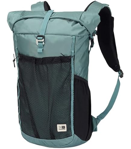Amazon.co.jp: フォルクル（VOLKL） レースバックパック チーム ラージ