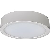 Amazon | 大光電機 DAIKO LED小型シーリングライト LED内蔵 LED