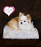 Peluche Plush Luxury Bunny Cuddle Dog/Pet Blanket (11 x 16 Carrier Blanket Cream) [並行輸入品]