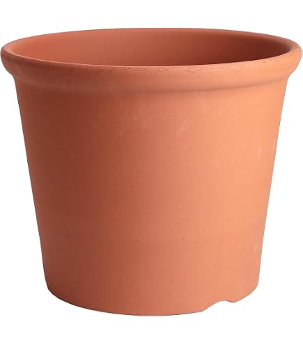 Amazon.co.jp: 鉢 KANEYOSHI 【日本製/安心の国産品質】 陶器 植木鉢