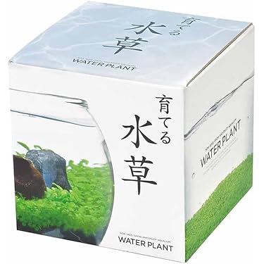水草⭐︎様 リクエスト 4点 まとめ商品 水草）60cm水槽用 水草レイアウトセット : チャーム charm
