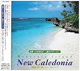 ���g 1/f�̂�炬 �`�g�̃A�_�[�W���` �V���ɋ߂��� �j���[�J���h�j�A