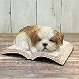 野川農園シーズー(Book)