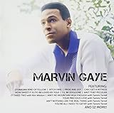 �A�C�R���`�x�X�g�E�I�u�E�}�[���B���E�Q�C