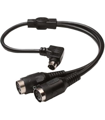 tc electronic DITTO X4 LOOPER ルーパー (訳あり) Amazon.com: TC Electronic DITTO X4 LOOPER Simple and