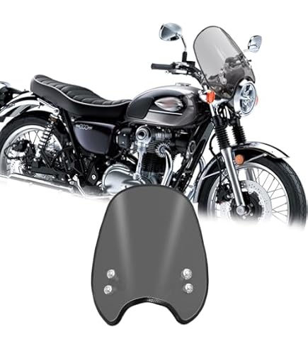 Amazon | デイトナ(Daytona) NationalCycle(ナショナルサイクル