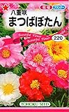 トーホク 八重咲まつばぼたん 花 0.2ml
