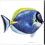 892465 – 親 24 x 24 Canvas with Black Sides ホワイト C892465-0240000-8CAAAMA