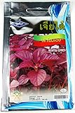 【アウトレット】赤ホウレンソウ Red Spinach Garden Spurge タネ 種子 タイの野菜 約3g CHIA THAI