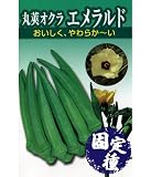 アサヒ農園 丸莢オクラ エメラルド（オクラの種）【固定種】 小袋(10ml)