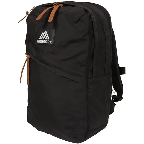 Amazon.co.jp: [グレゴリー] ナノパデッドケースL / 154080 9974