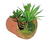 ホワイエ 造花 TN多肉アレンジモスポット 15xH17 6e40017