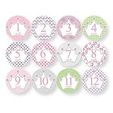 ベリーステッカー　プリンセス　出産祝い　赤ちゃん　プレゼント　女の子　贈り物　CTC1520