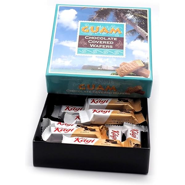 ビックサイズ　クッパ マイクワゾウスキ　グリーン チョコレート TAKEO KIKUCHI 最大50% 9/25限定 タケオキクチ 財布 小銭入れ