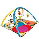 Sassy Developmental Playmat by Sassy [並行輸入品]