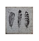 16' Square Metal Wall Decor with Feathers [並行輸入品]