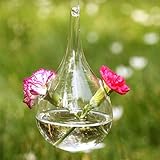 amzmonnsuta ガーデン 水滴形状ぶら下げ ガラス花瓶 　花水耕植物容器 プレゼント パーティー/結婚式/ 家/オフィスに良い装飾！