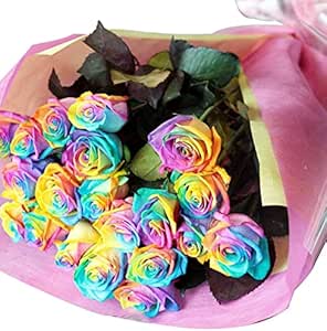 Amazon ビズフラワー 花束 レインボーローズ本 薔薇 ローズ お祝い プロポーズ サプライズ 誕生日 記念日 大切な日 告白 結婚 婚約 ブーケ プレゼント クリスマス Bisesflower ホワイトデー 花束 オンライン通販
