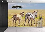 wall26 – 自己粘着壁紙大壁壁画シリーズ 100"x144" WMR-WP-X-C415-100x24x6