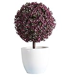 Baoblaze 人工植物　生き生き　花盆栽　鉢植え　美化　マイクロ風景　家庭　オフィス　　装飾品　全4色 - ロジー