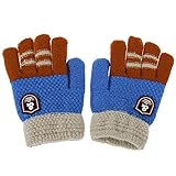 Domybest 手袋 ミトン 秋冬 キッズ手袋 子供用 グローブ 5本指 女の子 男の子 防寒 通学 通園 2-6歳に適用 おしゃれ 雪遊び お散歩 プレゼント 3色