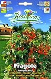 【種子】【HORTUS社】アルパインストロベリー [f014]