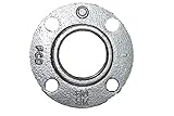 JFE継手 白ねじ込みフランジ 15A×5K (2個入り)
