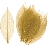 東京堂 ドライフラワー ミニスケルトンリーフ大 (40枚入) #マスタード FD004503-021