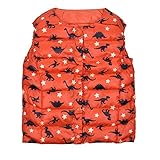 ダウン　棉服　ダウンジャケット　子供服　ベスト　フェザーコットン　女の子　男の子　秋冬　暖かい　軽量　可愛い (120, オレンジ)