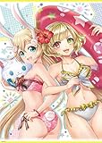 白猫プロジェクト ツキミ＆シャルロット 水着ポスター