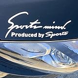 Ｓｐｏｒｔｓ ｍｉｎｄ 車 バイク ステッカー デカール シール 汎用 サイド ドレスアップ スポーツマインド sports mind 全8カラー 4サイズ (全文字ホワイトシルバー, LLサイズ 35×11cm)