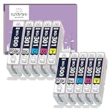 BCI-301+300/5MP 対応 互換インク 5色×2セット(計10本) キャノン用【PGBK顔料/HDカラー/残量表示対応】大容量 301 300 PIXUS TS7530 APEX社製チップ採用 インクファクトリー