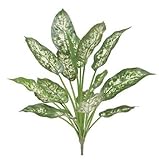 タカショー 観葉植物・グリーンデコ 和風下草 ディフェンバキア GN-72 L60cm