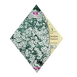 [春・秋まき 花タネ][フランス花の種]セラスチュウム：トメントーサホワイト（シロミミナグサ）* ノーブランド品