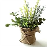 フェイクグリーン 観葉植物 卓上 フェイクグリーンのアレンジバッグ [spc2387]