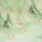 qp (アナログ盤) [Analog]