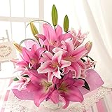 BunBunBee 母の日 生花アレンジ「オリエンタル・ビューティー」 2018